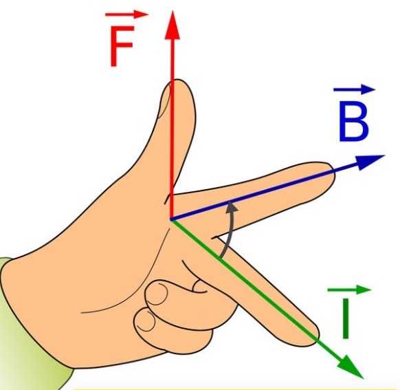 Правило правой и левой руки в физике: формулировка, что можно определить,  используя