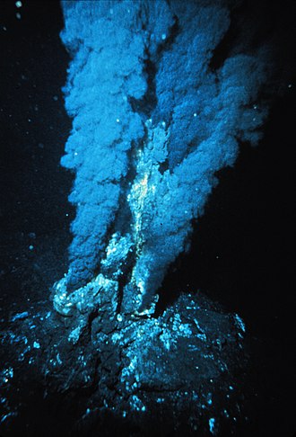 Пример хемотрофа (черные курильщики на дне океана)